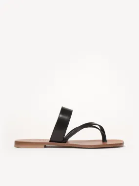 The Medio (Sample Sale)